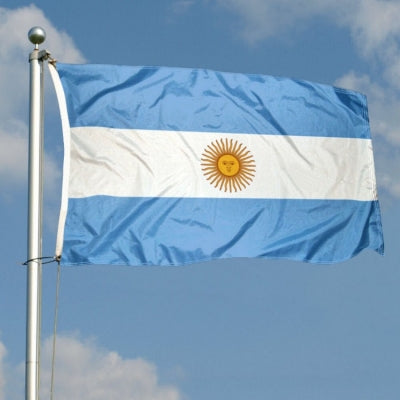 3x5 Indoor & Outdoor Pole Flag