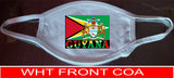 Guyana flag face mask/2 Layers cotton material/Guyana mini flag/Reusable